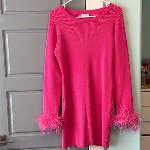 Pink Lily Vibrant Pink Sweater dress with Feather Accents